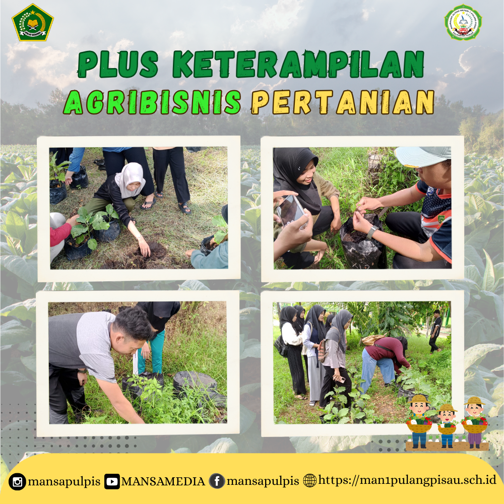 PLUS KETERAMPILAN AGRIBISNIS PERTANIAN MAN 1 PULANG PISAU PLUS KETERAMPILAN